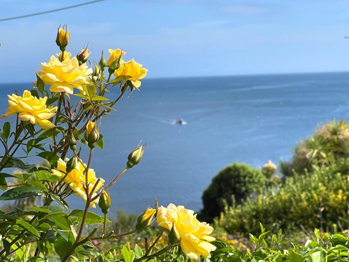 Mousehole